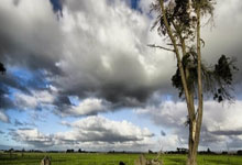 米兰登录入口-包含阿塞拜疆队奋勇拼搏，成功晋级的词条