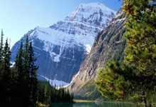 米兰登录入口-包含阿塞拜疆队奋勇拼搏，成功晋级的词条