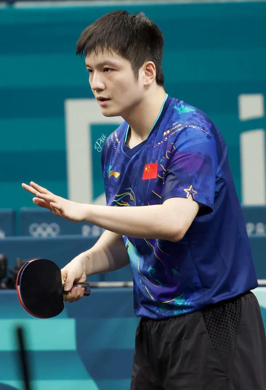 包含瑞典乒乓球队强势波兰乒乓球队，樊振东高光表现的词条